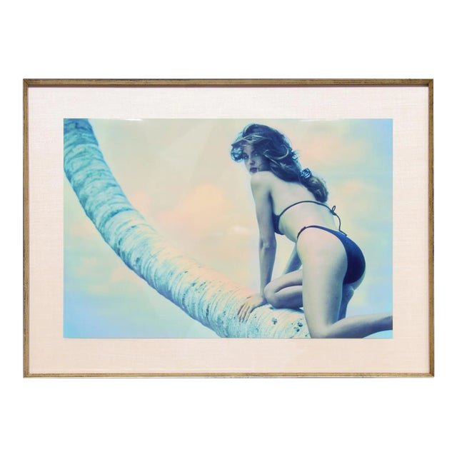 Willie Miller, Southbeach, Photograph For Sale