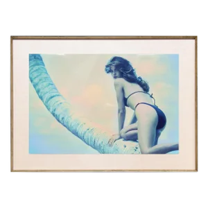 Willie Miller, Southbeach, Photograph