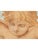 18th Century Italian Devotional Painted Tapestry For Sale - Image 13 of 18