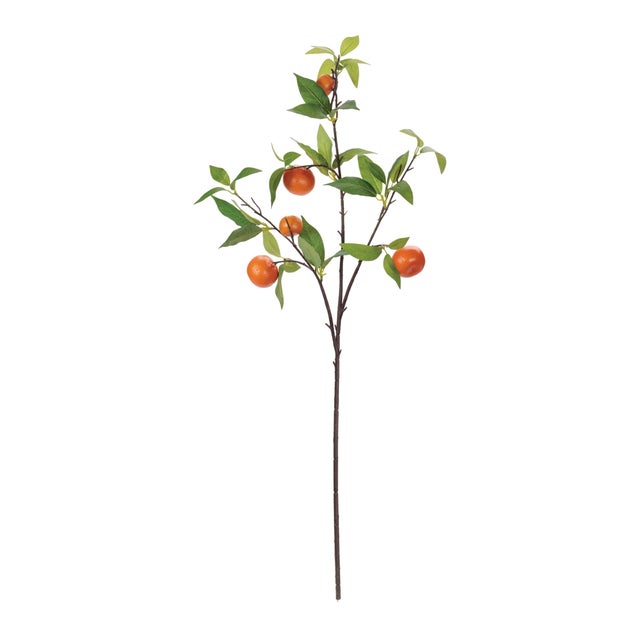 Infuse your home with vibrant, orchard-fresh charm using this set of 6 Orange Fruit Foliage Branches. Each 34" stem...