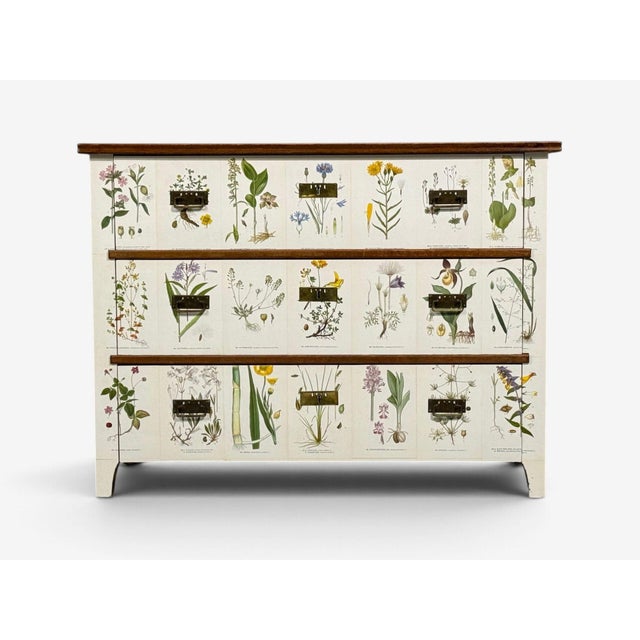 Mid-Century Modern Swedish Modern, Nordens Flora Dresser, Brass, Floral Lithographs, Sweden, 1930s For Sale - Image 3 of 14