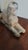 Traditional 1920s Egyptian Spinx Garden Statue For Sale - Image 3 of 8