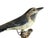 1950s Austrian Wood Carved Bird 75 For Sale - Image 4 of 6