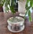Metal Antique Gorham Sterling Silver & Cut Glass Dresser Jar, Circa 1910 For Sale - Image 7 of 15