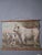 Chillingham Cattle Family Chart For Sale - Image 4 of 5