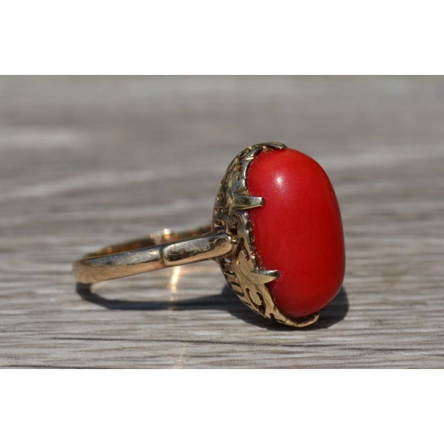 The Coconut Creek: Antique Turn of The Century Mediterranean Coral Ring For Sale In Philadelphia - Image 6 of 10