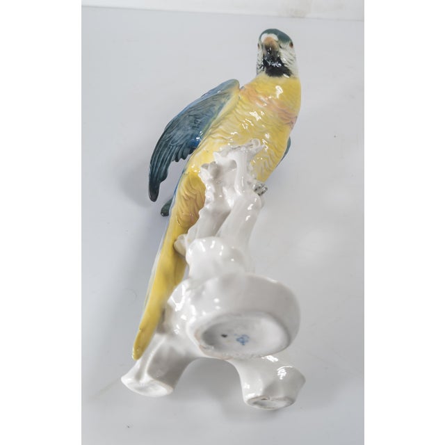 Ceramic Early 20th Century German Porcelain Macaw Parrot Figure by Karl Ens For Sale - Image 7 of 10