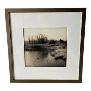 1990s Christine Triebert Pin Camera Photograph “Grassy Pond” Provincetown Ma 3/50