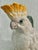 1990s 1991 Fitz and Floyd Sulfur Crested Cockatoo Palm Beach Majolica Style Pitcher For Sale - Image 5 of 12