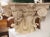 Cream Large Plaster Composite Order Capital on Wooden Pedestal, France, Early 1900s For Sale - Image 8 of 13