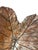 Contemporary Oversized Hand-Cast Concrete Elephant Ear Leaf Garden Bowl, Birdbath or Centerpiece For Sale - Image 3 of 7