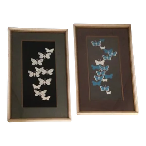 “California White” and “Phenes Blue” Butterfly’s From the Atelier, San Francisco 1970s Screen Prints by H. Pruett-a Pair