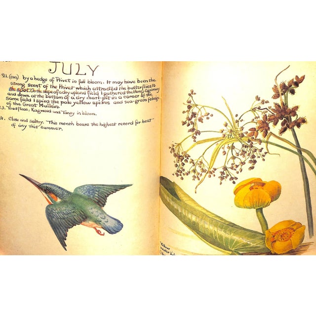 "The Country Diary of an Edwardian Lady" 1984 Holden, Edith For Sale - Image 10 of 12