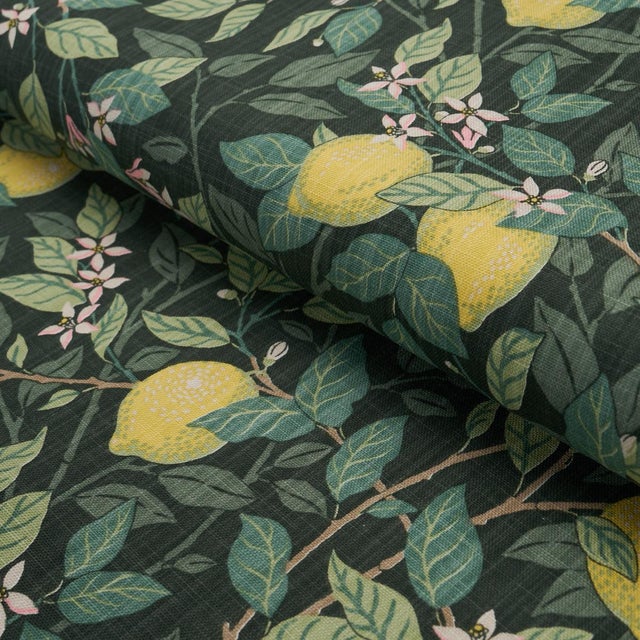 Borastapeter Sample - Schumacher Citronträd Fabric In Green For Sale - Image 4 of 5