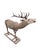Antique 12-Point Whitetail Deer Full Body Mount on Original Wood Base Impressive full body mount of a 12-point whitetail...