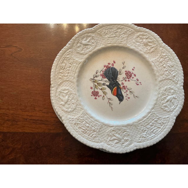 Set of 8 Royal Cauldon Dinner Plates “Aviary” Pattern Bristol Ironstone For Sale In Chicago - Image 6 of 9