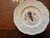 Set of 8 Royal Cauldon Dinner Plates “Aviary” Pattern Bristol Ironstone For Sale In Chicago - Image 6 of 9