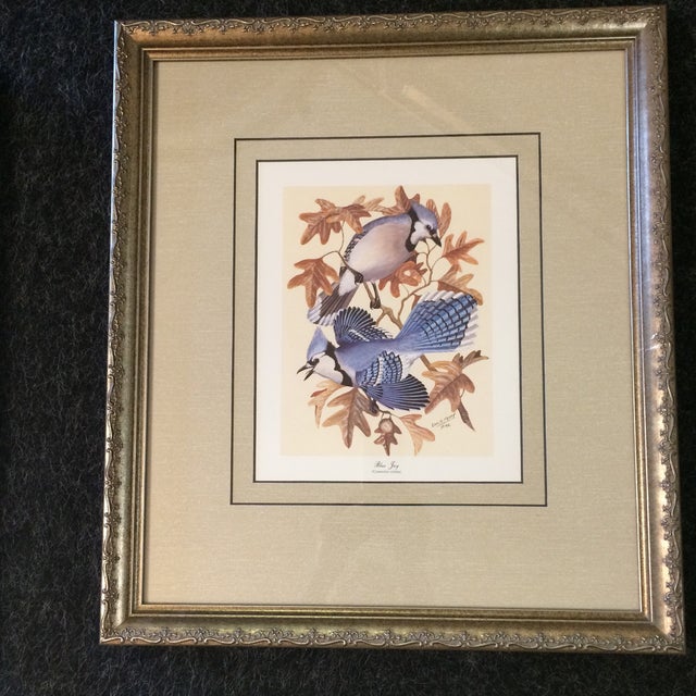 Vintage Earl O Henry Bird Prints 4 Framed Prints Chairish