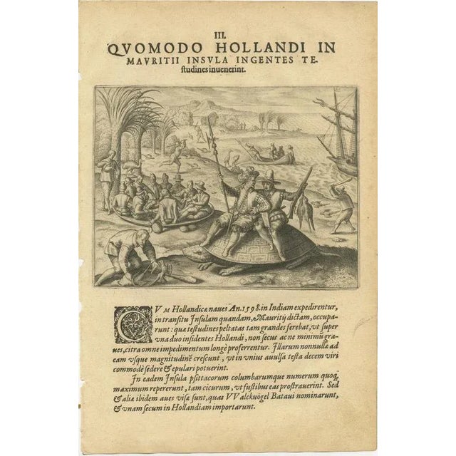 Exotic Encounters, 1598, Paper, Set of 4 For Sale - Image 4 of 11