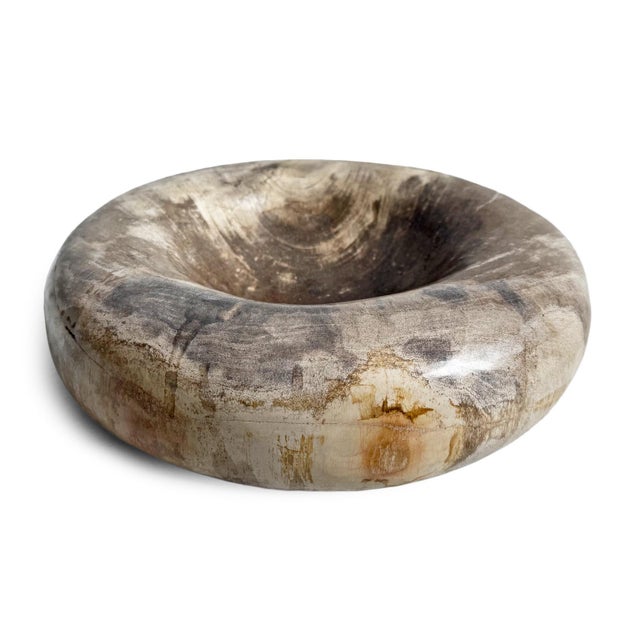 Early 21st Century Vintage Petrified Wood Organic Modern Decorative Bowl For Sale - Image 5 of 8