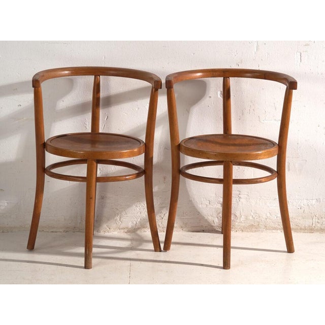 Bentwood Chairs in the style of Thonet, Hungary, 1960, Set of 2 For Sale - Image 4 of 13