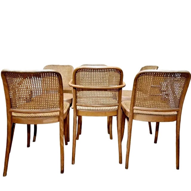 Josef Hoffmann Set of Six Josef Hoffmann-Designed “Prague” Bentwood & Cane Chairs For Sale - Image 4 of 6