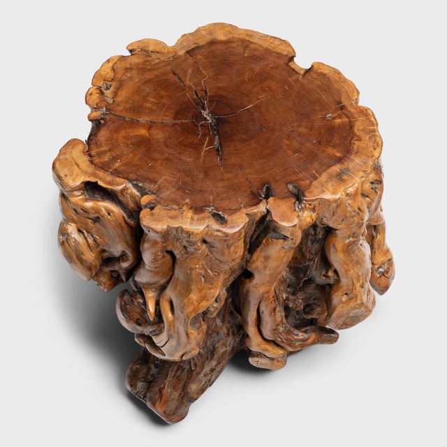 Chinese Rootwood Side Table For Sale - Image 4 of 6