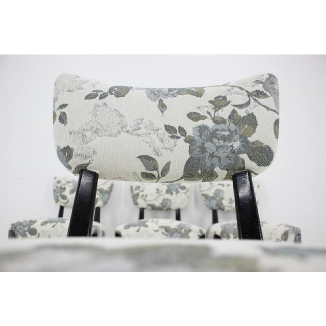 Dining Chairs by Jindrich Halabala for Hala, Czechoslovakia, 1950s, Set of 4 For Sale - Image 17 of 18