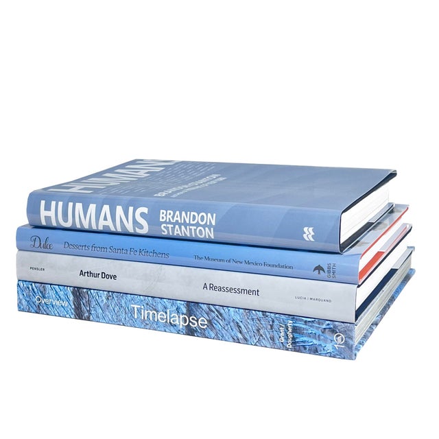 Modern Blue Ice ColorStak, S/4. Features a blend of four authentic hardback books published 1990-Present all displayed in...
