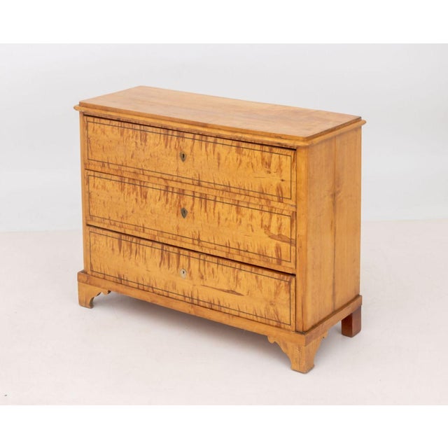 Swedish Birch Chest of Drawers For Sale - Image 4 of 7