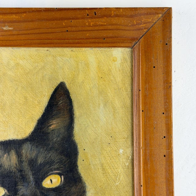 Cat Portrait, 1920s, Oil Painting on Panel, Framed For Sale - Image 6 of 14