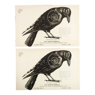 1960s Crow Raven Trenton Paper Targets - A Pair For Sale