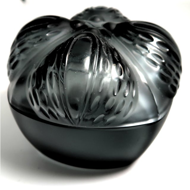 Glass Lalique (France) - Exquisite Smoke Gray (Rarest Color!) Clear and Frosted "Mirabel" Powder Box, Retired. For Sale - Image 7 of 13