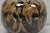 Ceramic Vintage Alisa Liskin Claussen Studio Signed Ceramic Glazed Pottery Vessel Vase For Sale - Image 7 of 15
