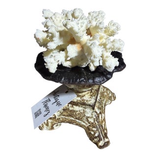 Celestial Meets the Sea Shell Decoration For Sale