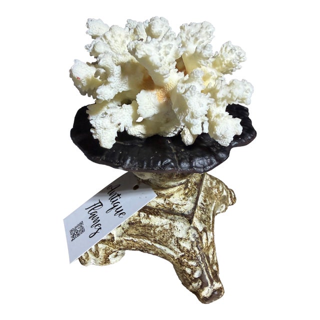 Celestial Meets the Sea Shell Decoration-Coastal Art Sculpture For Sale