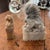 1950s Pair of Stone Foo Dogs For Sale - Image 5 of 8