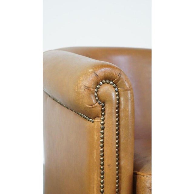 Sheep Leather Club Chair For Sale - Image 10 of 13