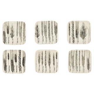 Spighe or Spikes Series Dishes by Piero Fornasetti, 1960s, Set of 6 For Sale