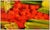 Contemporary Late 20th Century Taking a Handful, Po Pin Lin For Sale - Image 3 of 4