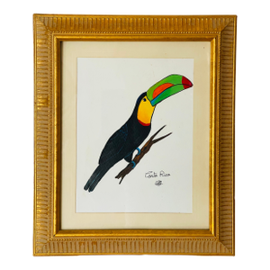 1960s Costa Rican Toucan Bird Watercolor in Gold Frame