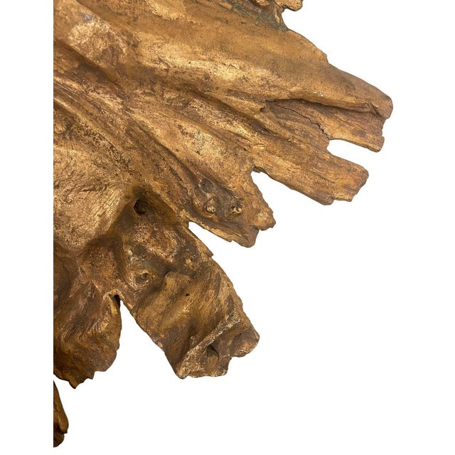 Early 21st Century 21st Century Floris Mangrove Wood Root Mirror. u.s.A. For Sale - Image 5 of 5