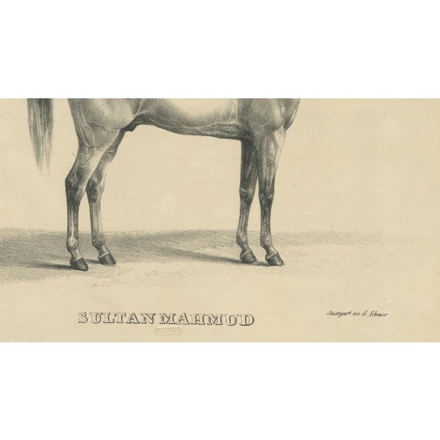 G. Ebner, Sultan Mahmoud, 1846, Lithograph For Sale - Image 6 of 9