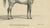 G. Ebner, Sultan Mahmoud, 1846, Lithograph For Sale - Image 6 of 9