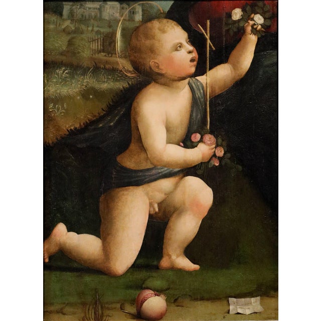 Workshop of Marco Palmezzano, Saint John the Baptist as a Child, 16th Century, Oil Painting on Panel For Sale - Image 15 of 15