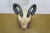 Late 20th Century Vintage Indo Persian Carved Wood Ram Head Bust Sculpture on Stand 18" For Sale - Image 5 of 16