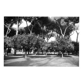 Paul Cooklin, Rome Italy 00281, Edition of 50 For Sale