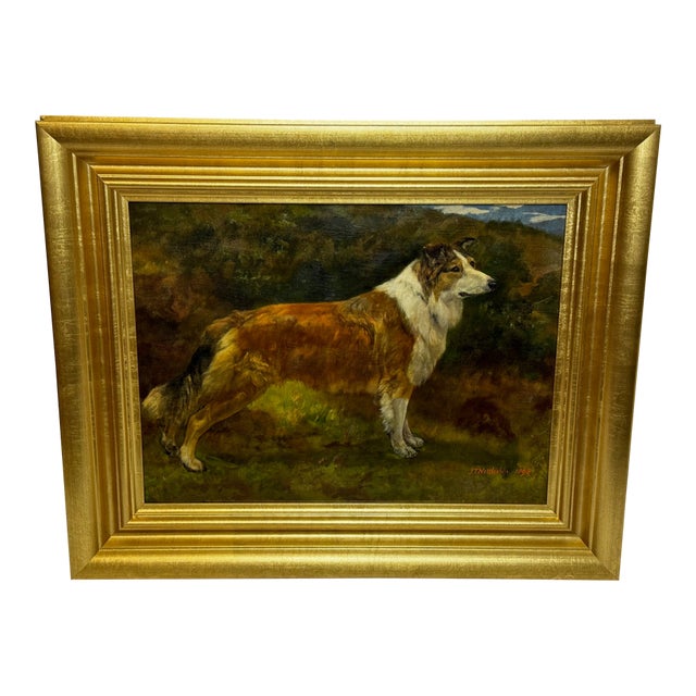 Important British c.1898 Victorian Oil Portrait of a Rough Collie Dog After John Emms Gilt Framed For Sale