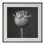 'Poppy Pod Head' No. 1 - Black and White Botanical Photography Print / Karl Blossfeldt For Sale