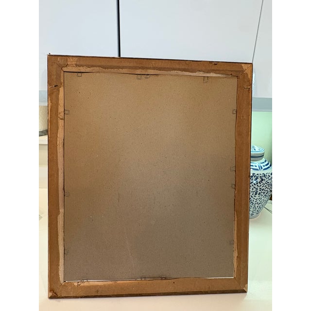 Vintage Robin Bird Reproduction Print Michael James Riddet Ornithology Wall Art Wood Frame For Sale - Image 13 of 14